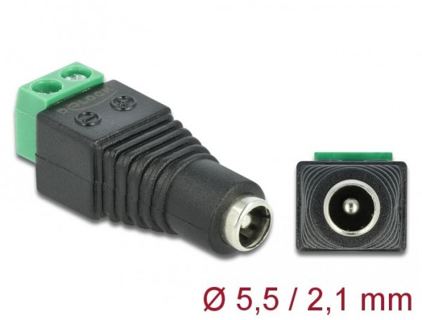 DeLock Adapter Terminalblock > DC 2,1 x 5,5 mm Buchse