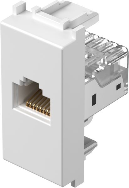 TEM Serie Modul Steckdosen SOCKET CAT5e KSRJ45 8/8 1M PW