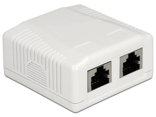 Delock Netzwerk Anschlussdose 2 Port Cat.6A LSA