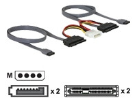 DeLock SATA All -in-One Kabel für 2x HDD