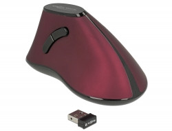 Delock Ergonomische vertikal optische 5-Tasten Maus 2,4 GHz wireless