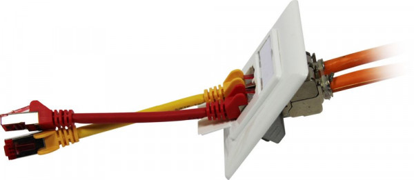 Keystone, Modulträger, UP Dosen für 2xTP-Modul, Reinweiss, designfähig UAE, Synergy 21,