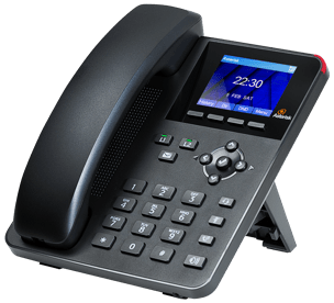 Digium Phone A22 HD Entry-level Gigabit PoE