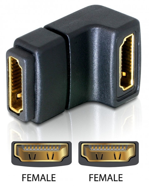 Delock VGA Adapter HDMI Bu > Bu 90°gewinkelt-unten