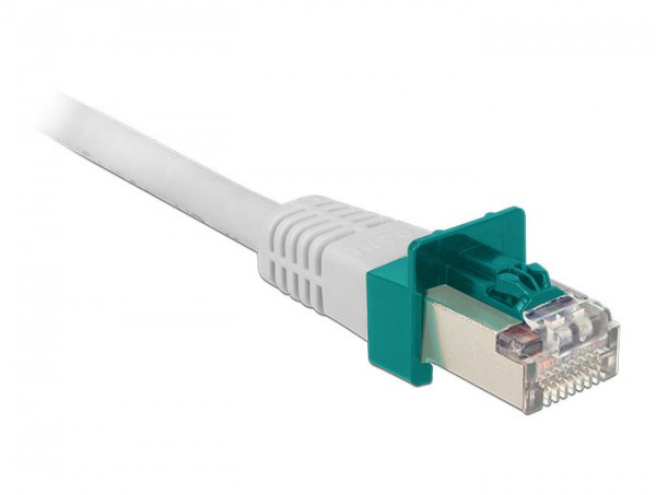 Delock RJ45 Secure Clip 40 Stück Set