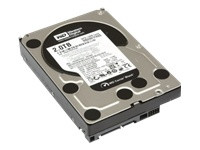 Lenovo Server Zubehör Festplatte 1TB SATA-300