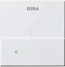 GIRA - System 55 - Dockingstation USB Mikro B *reinweiß matt*