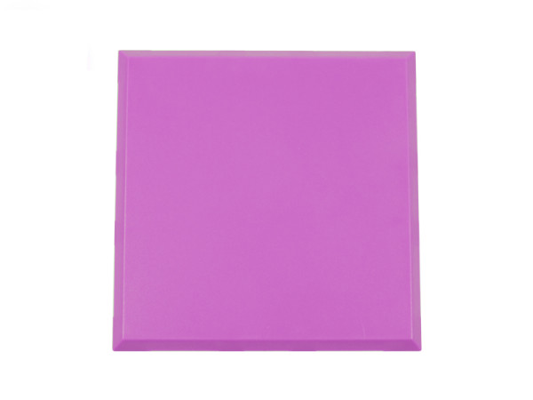 ALLNET BrickRknowledge Kunststoffschale 2x2 violett oben und unten 10er Pack
