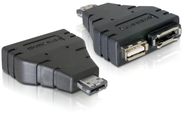 Delock Adapter eSATAp zu eSATA+USB