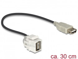 DeLock Adapter USB 2.0 A (BU) > USB 2.0 A (BU) 250° Keystone Modul mit Kabel