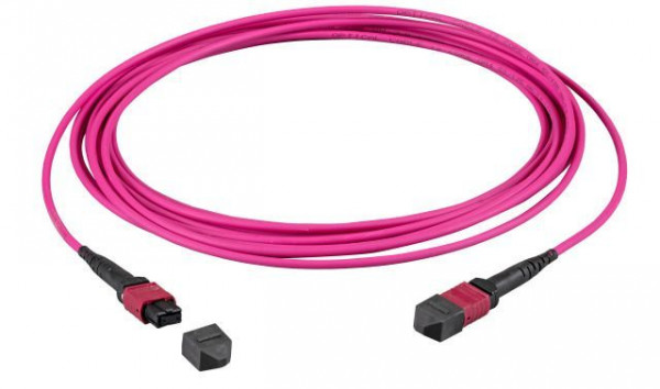 LWL-MTP®-Female Patchkabel OM4 LowLoss, 24 Faser, Typ A 1:1, erika-violett, 25m