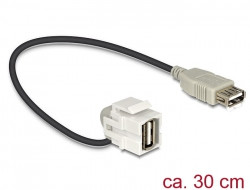 DeLock Adapter USB 2.0 A (BU) > USB 2.0 A (BU) 110° Keystone Modul mit Kabel